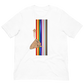 LGBTQ+ Pride Unisex T-Shirt